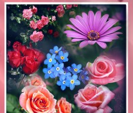 flowers